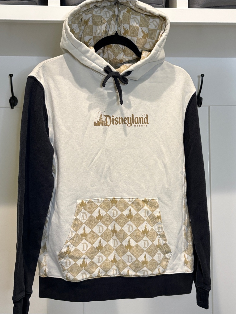 Disneyland Resort Hoodie